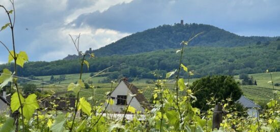 Terrain à bâtir à Bergheim, Grand Est